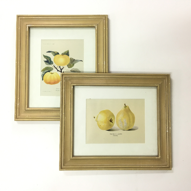 ARTWORK, Print (Small) - Yellow Fruits